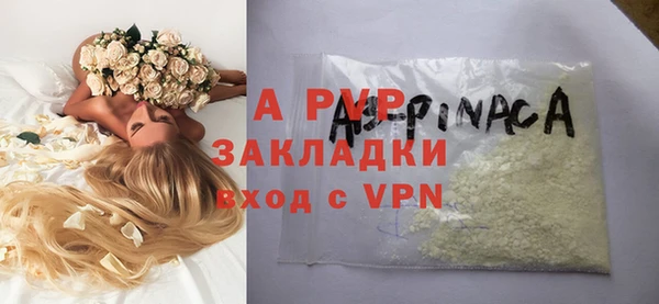 стаф Алексин