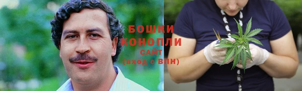 винт Абаза
