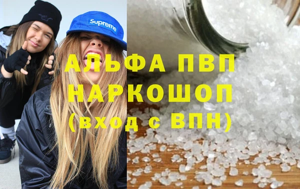 стаф Алексин