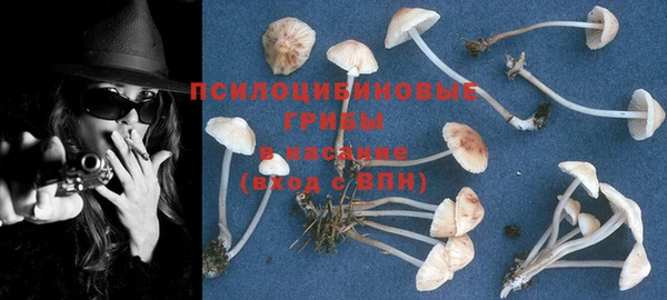 винт Абаза