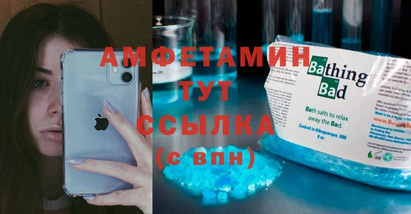 стаф Алексин