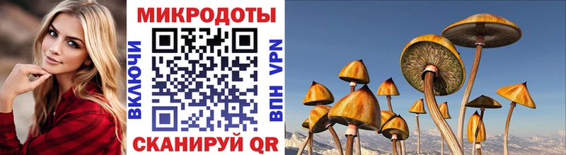 Галлюциногенные грибы мицелий купить Княгинино